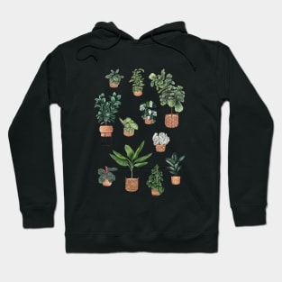 Potted Plants Collection 5 Hoodie